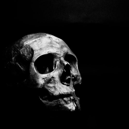 pexels-ahmedadly-1270184 Skull of Law